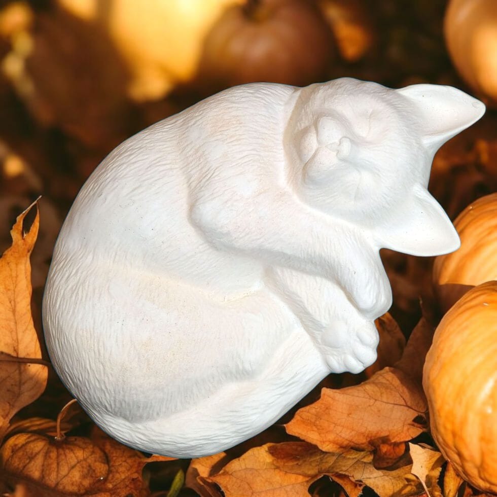 Sleeping Cat
